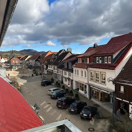 公寓 Mein Quartier Am Harz 哈茨边的赫茨伯格